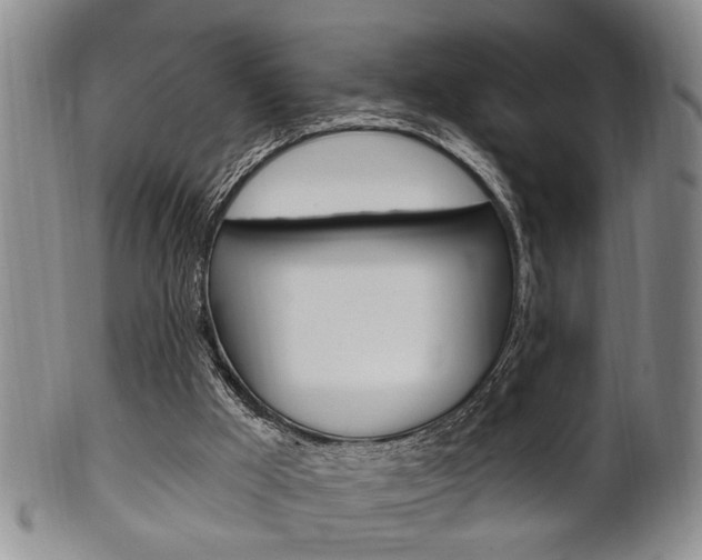 X0000102500009200808080955