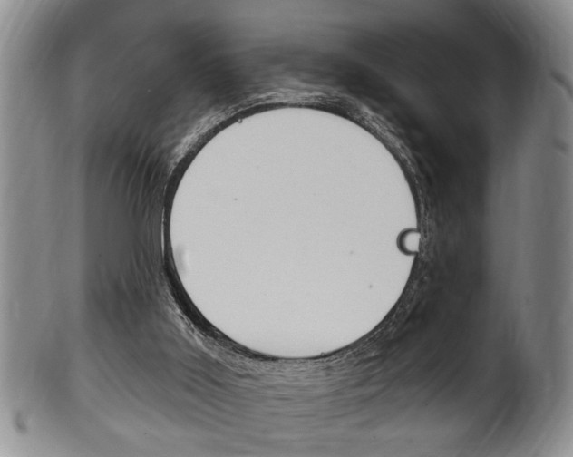 X0000102500011200808080955