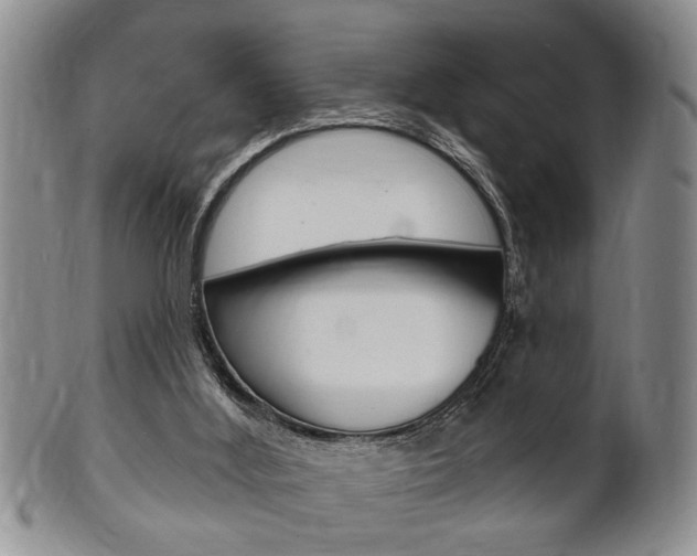 X0000102500012200808080955