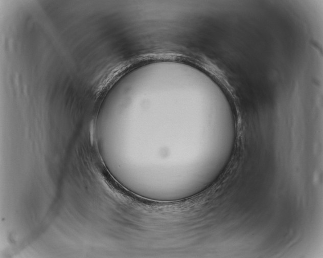 X0000102500013200808080955