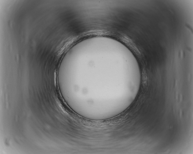 X0000102500014200808080955