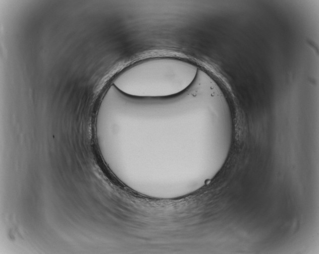 X0000102500015200808080955