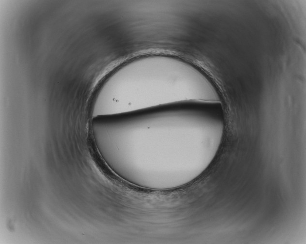 X0000102500016200808080955