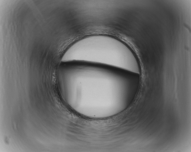 X0000102500017200808080955