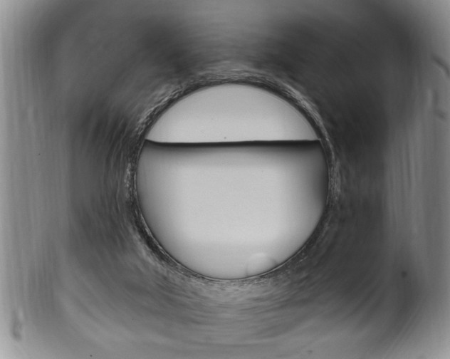 X0000102500018200808080955