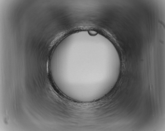 X0000102500019200808080955