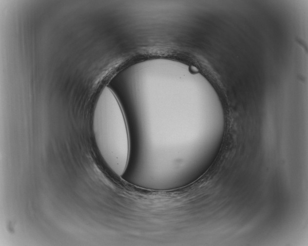 X0000102500020200808080955