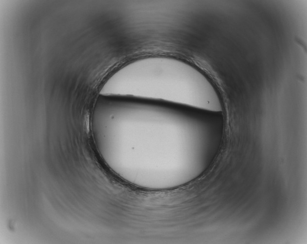 X0000102500021200808080955