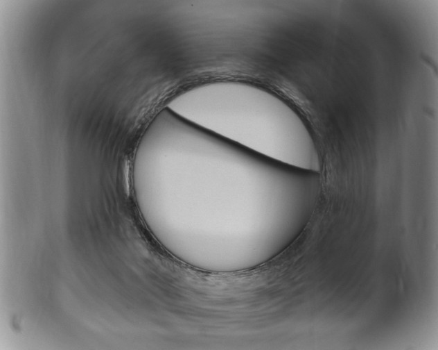X0000102500022200808080955