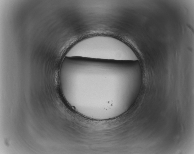 X0000102500023200808080955