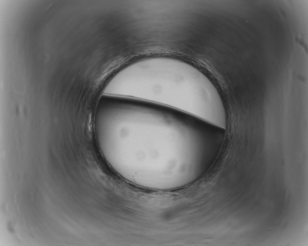 X0000102500024200808080955