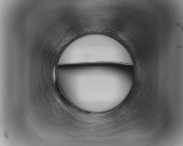 X0000102500028200808080955