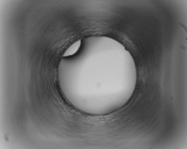 X0000102500029200808080955