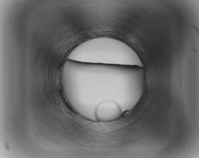 X0000102500030200808080955