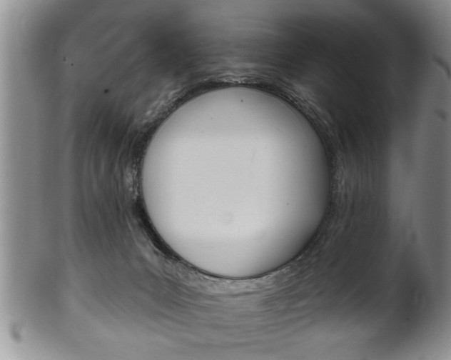 X0000102500031200808080954
