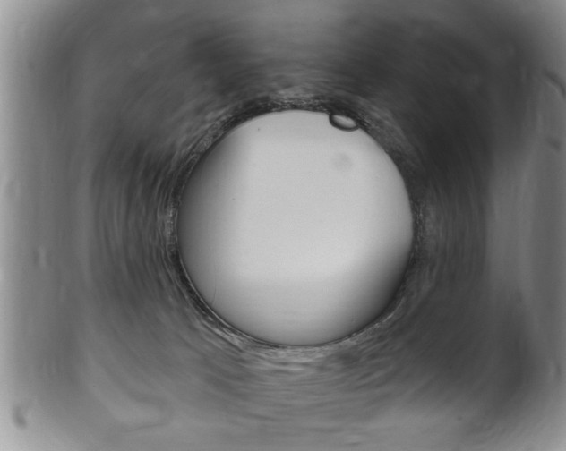 X0000102500033200808080954