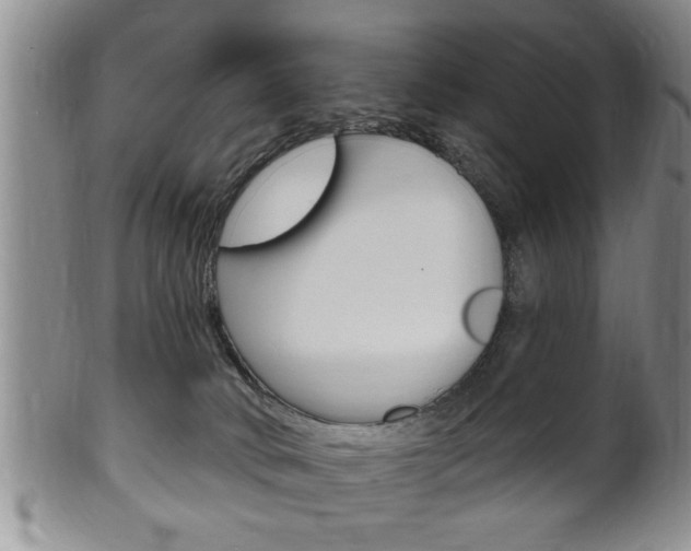 X0000102500034200808080954