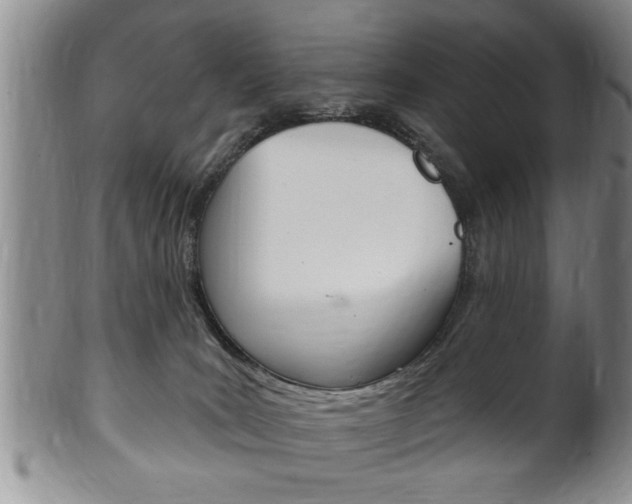 X0000102500035200808080954