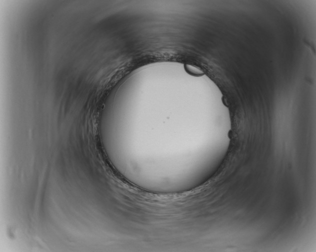X0000102500037200808080954