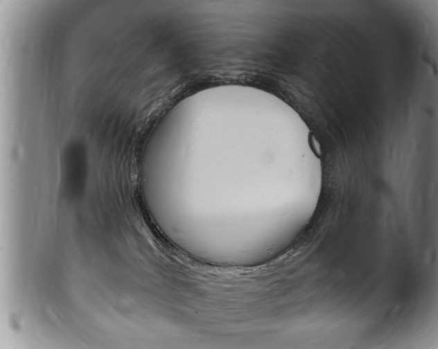 X0000102500040200808080954