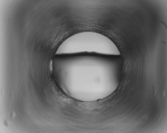 X0000102500041200808080954