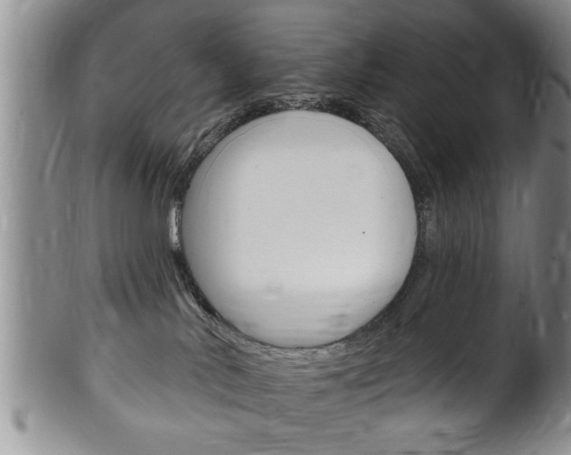 X0000102500042200808080954