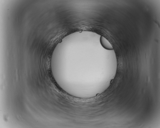 X0000102500043200808080954