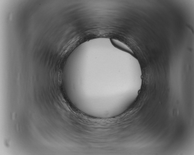 X0000102500044200808080954