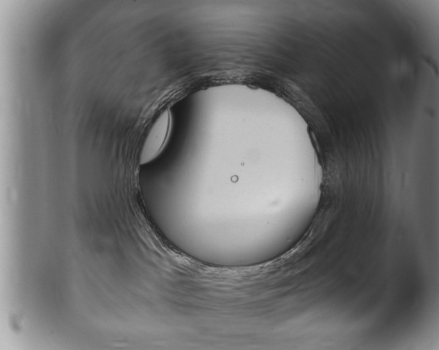 X0000102500045200808080954