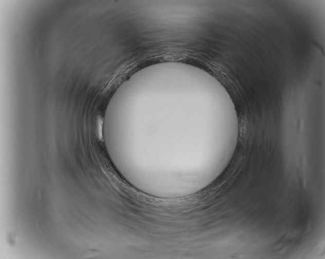 X0000102500046200808080954