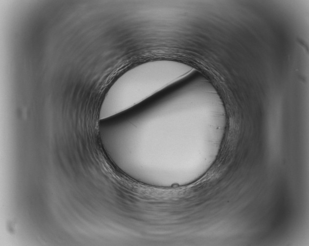X0000102500048200808080954