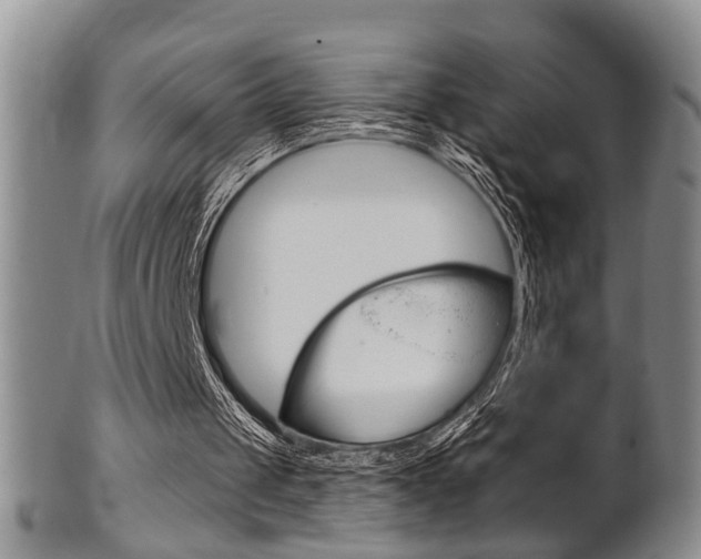 X0000102500049200808080954