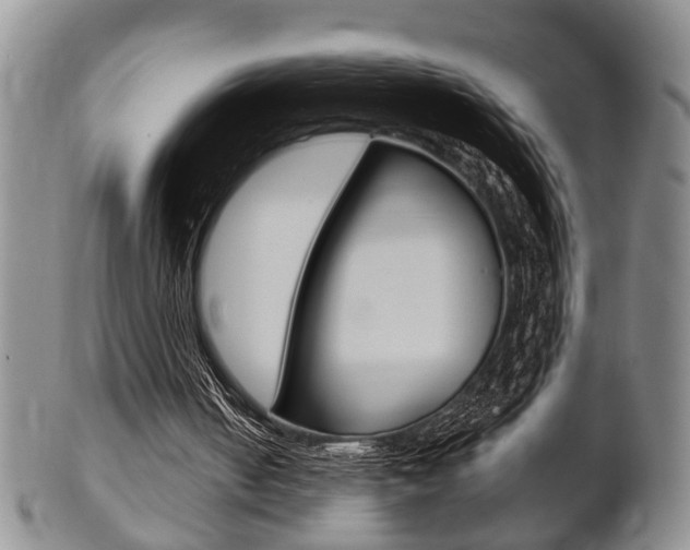 X0000102500050200808080954