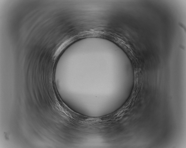 X0000102500051200808080954