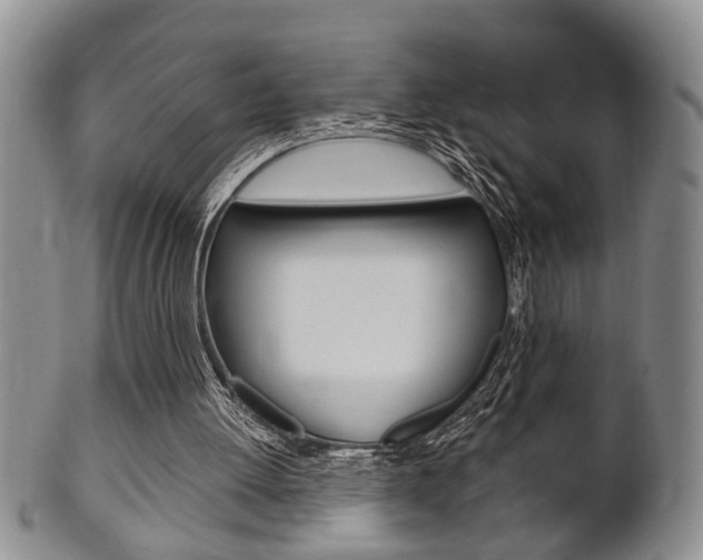 X0000102500052200808080954