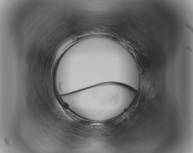 X0000102500053200808080954