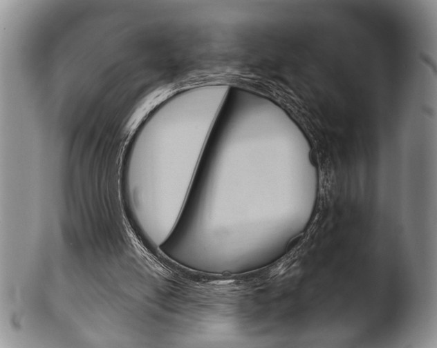 X0000102500054200808080954