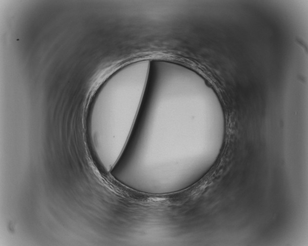 X0000102500055200808080954