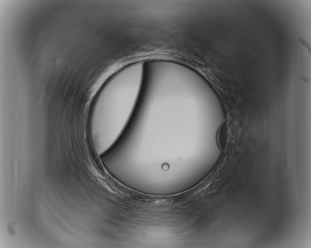 X0000102500056200808080954