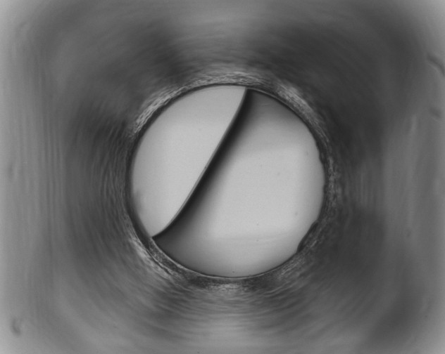 X0000102500058200808080954