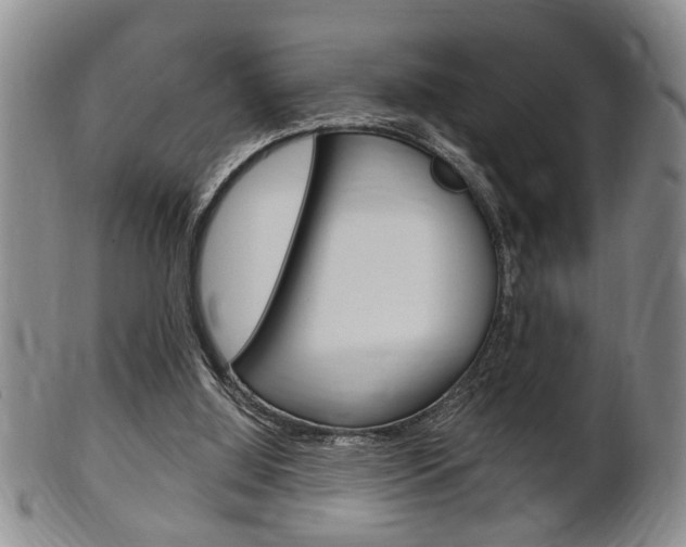 X0000102500060200808080954