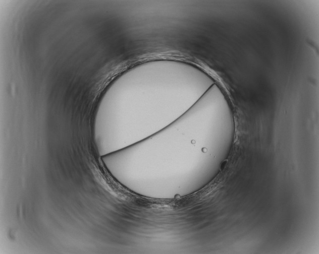 X0000102500061200808080954