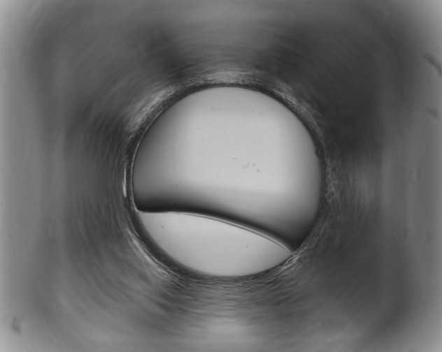 X0000102500062200808080954