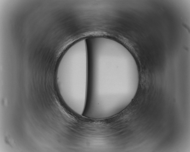 X0000102500063200808080954