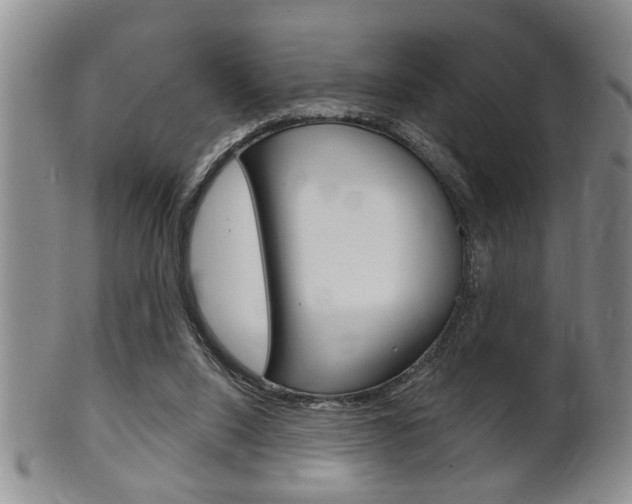 X0000102500064200808080954