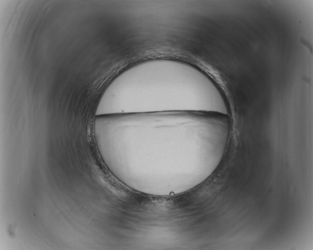 X0000102500065200808080954