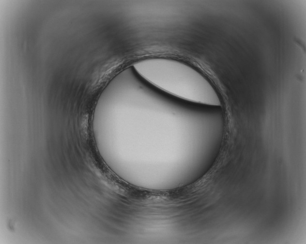 X0000102500066200808080954