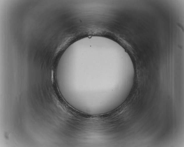 X0000102500067200808080954