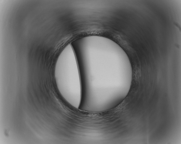 X0000102500070200808080954
