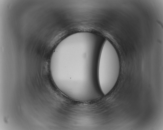 X0000102500071200808080954